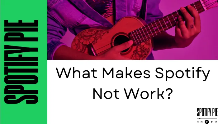 What Makes Spotify Not Work