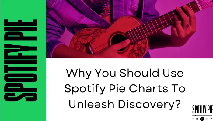 Why You Should Use Spotify Pie Charts To Unleash Discovery